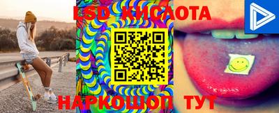 шишки Донецк