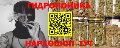шишки Донецк